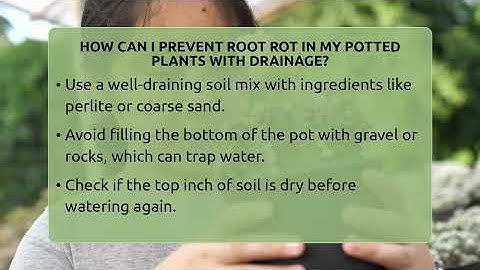 How Can I Prevent Root Rot In My Potted Plants With Drainage? - The Plant Enthusiast
