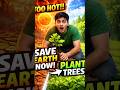 Plant Trees, Save Earth | Fight Global Warming Now #shorts #globalwarming #plants #youtubeshorts