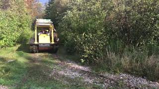 Bombardier J5 Transporting Moose