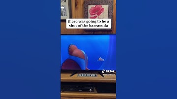 cut video of finding Nemo