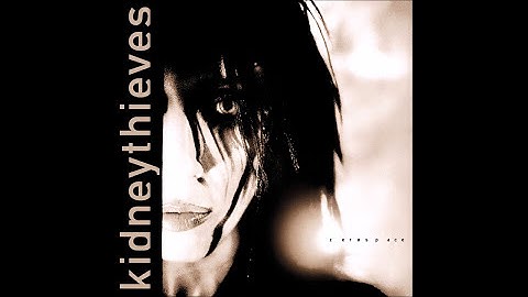 Kidneythieves - Black Bullet