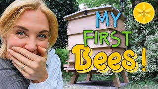 How to install a package of honey bees! | Maddie Moate