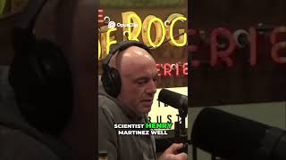 Trump Assassination Attempt: Future Clues or Elaborate PSYOP? #shorts