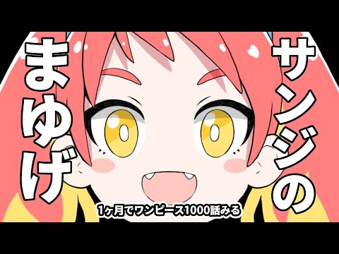 1ヶ月でワンピースのアニメ全話見る 14・15日目 517話〜587話感想 video thumb