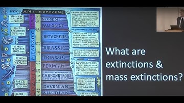 Mass Extinction Events and What Causes Them (Thomas Holtz, Ph.D.)