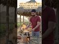 વહેલી સવારે ખેતરની શાંતિ 😍🌿 | Nikita &amp; Ashish Farm Life Morning Routine#ખેતરજીવન #ગામડાજીવન #સવાર