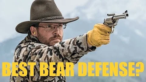 Best Handgun Cartridges for Bears