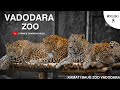 Kamati baug zoo vadodara  wonderful vlog  great zoo      vadodara zoo