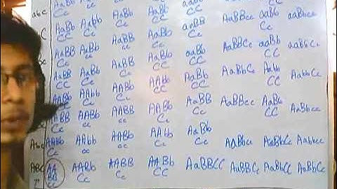 Genetics part 4 polygenic inheritance