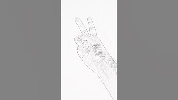 Shader Effect in Meta Spark Studio