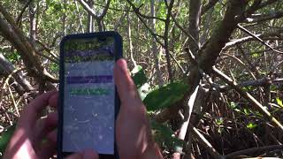 How To Collect Data on EpiCollect5 screenshot 5