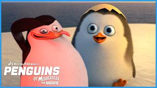 The Best Of Penguin Private🐧🌟 | DreamWorks Madagascar
