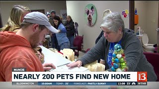 Nearly 200 pets find new home