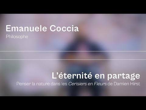 Emanuele Coccia —