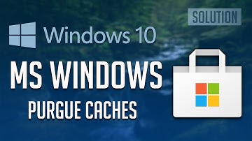 MS Windows Store Purge Caches App Didn