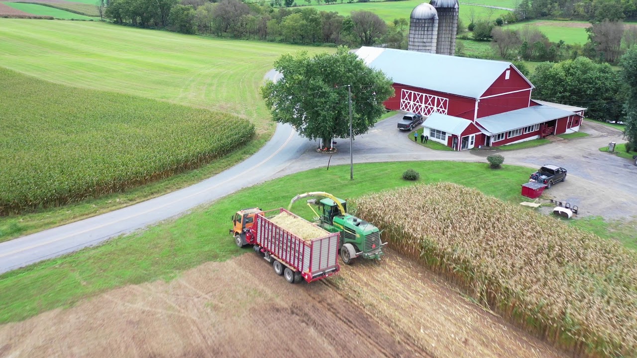 Peight Brothers Harvesting YouTube