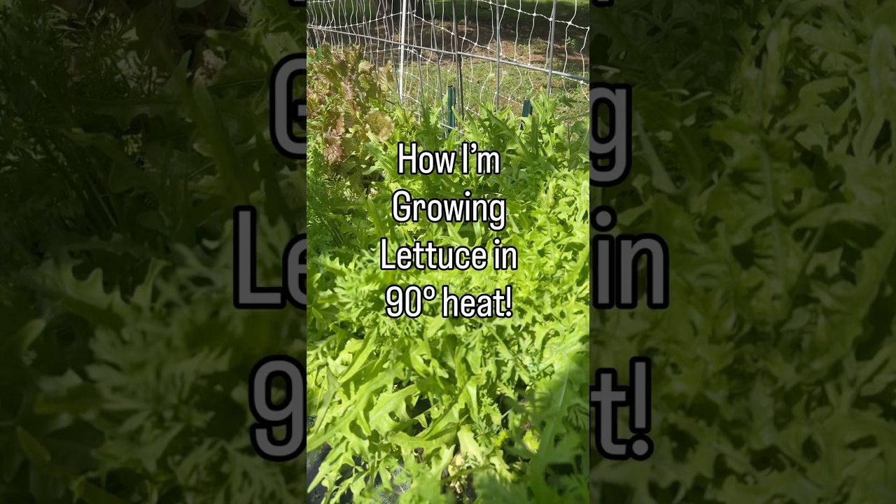 Uploads from From Seed to Spoon Garden Planning App