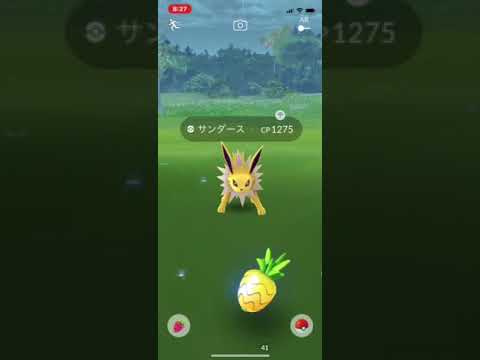 ポケモンgo 野生 サンダース 珍しいかもね Youtube