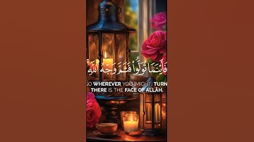 #القرآن_الكريم #راحة_نفسية #اكسبلور .تلاوة خاشعة وراحة نفسية لي شيخ سعد الغامدي.