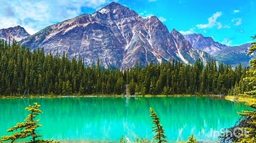 قراءة عراقية جميلة بصوت القارئ عمر عبدالله من سورة الزمر 🌹🌹ومن أصدق من الله قيلا 🌷🌷