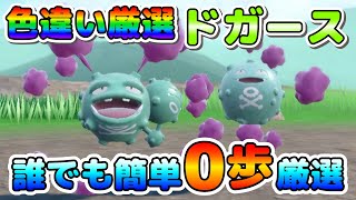 色厳選】色違いドガースのオススメ厳選場所！大量発生無しで誰でも簡単