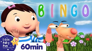 bingo more nursery rhymes and kids songs little baby bum