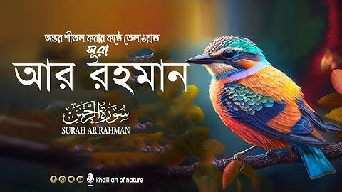 অন্তর শীতল করার কন্ঠে তেলাওয়াত সূরা আর রহমান (سورة الرحمن) surah ar rahman,khalil art of nature