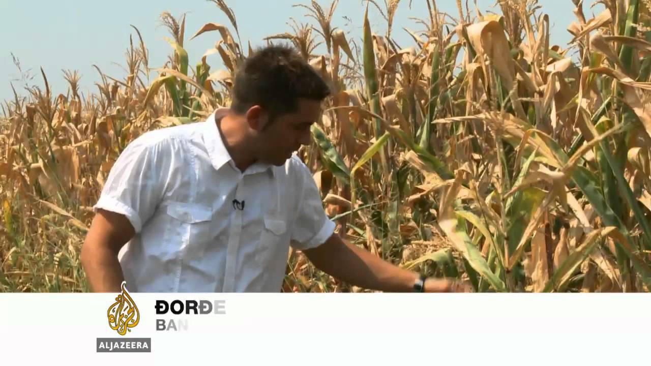 ضعف أنظمة الري في صربيا - الجزيرة البلقان