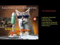 32nd アルバム「The Moonlight Cats Radio Show Vol 1」 浜田省吾