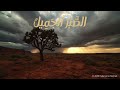 الصبر الجميل أنشودة المواساة عند الشدائد كلمات تبعث الأمل