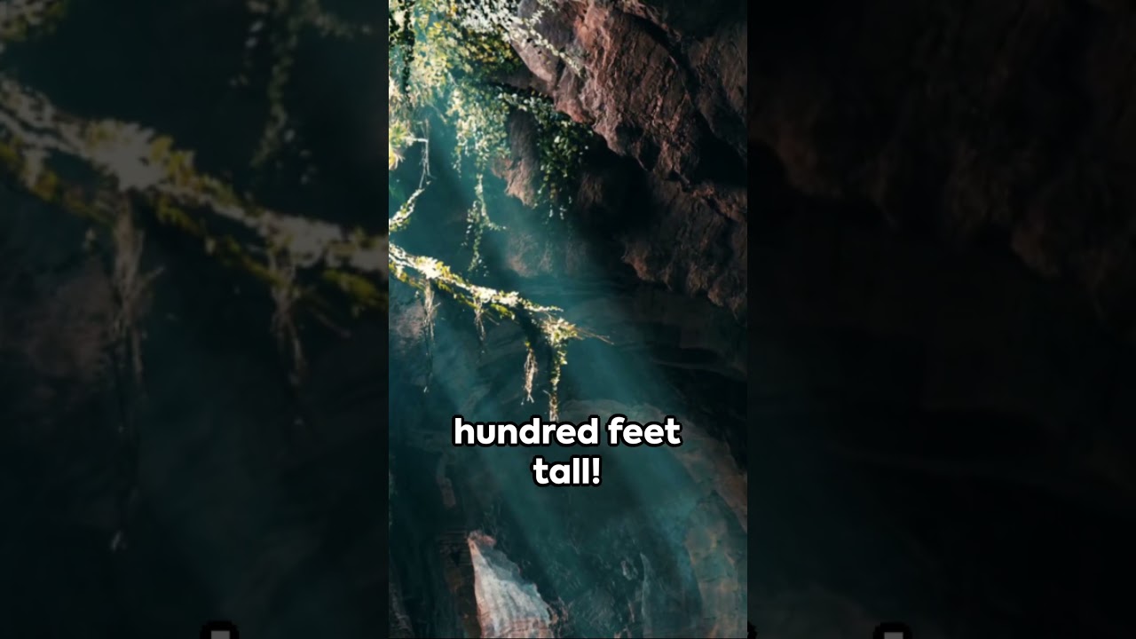 Son Doong Cave: A Hidden Wonder