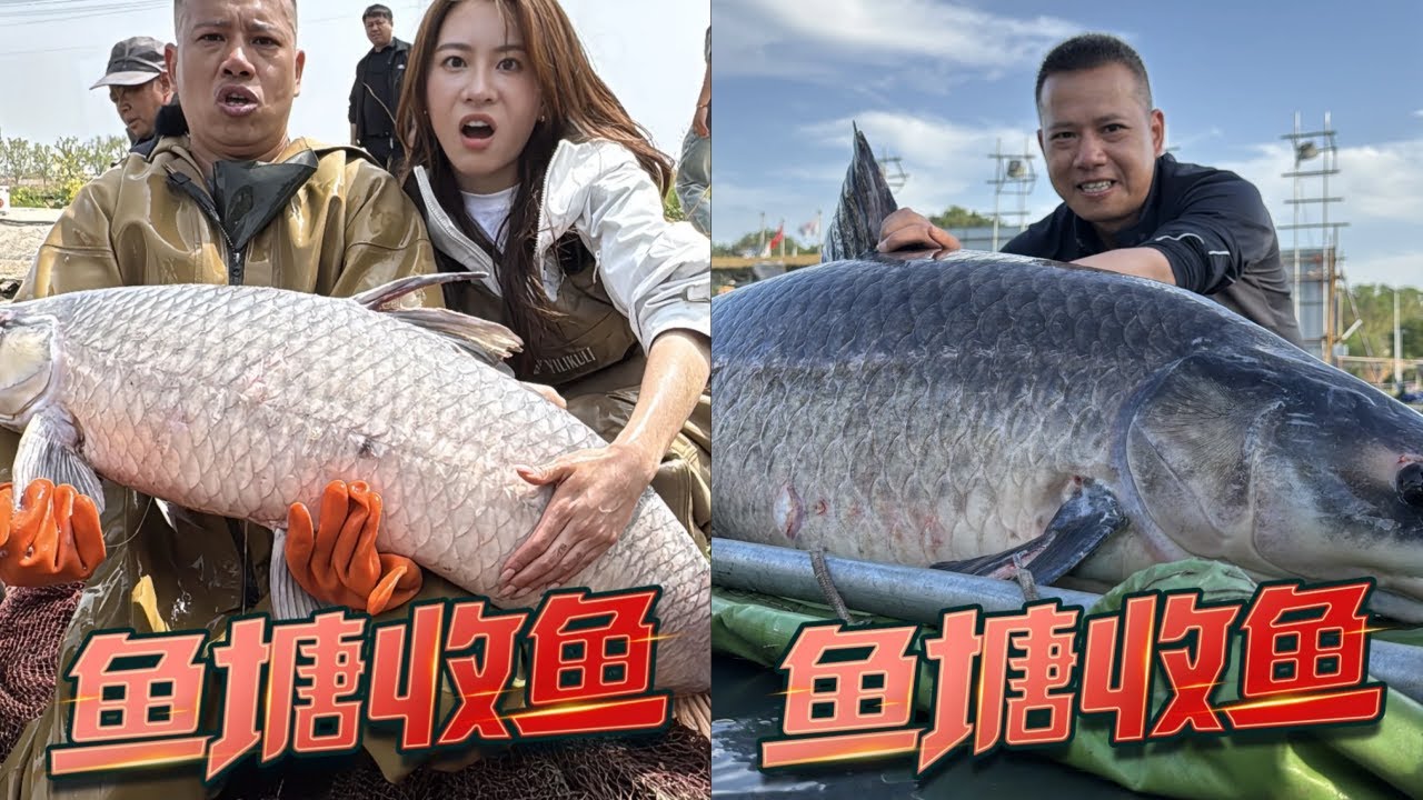 大奔姐钓鱼遇到难题，请雀哥出马解决问题｜又添一条百斤巨物，下次目标200斤以上