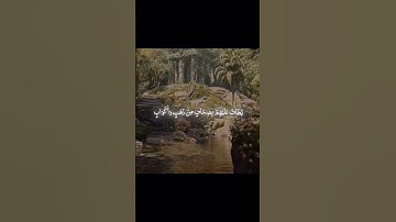 سورة الزخرف من الآية 70 الى الآية 71