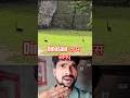 😱 क्या सचमें dinosaur वापस आगए  #shorts