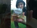 PLS HIT THE LIKE AND SUBSCRIBE WHO LOVES CARP FISHING????