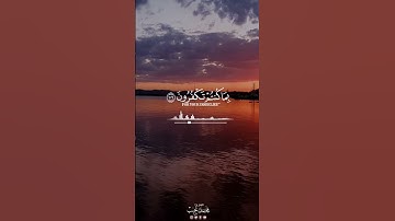يوم تبيض وجوه وتسود وجوه | سورة آل عمران