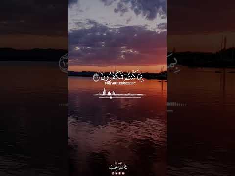 يوم تبيض وجوه وتسود وجوه سورة آل عمران