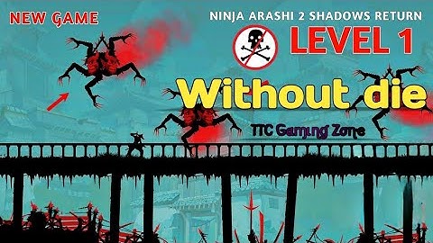 Ninja Arashi 2 Shadow