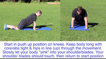 Scapular Push Ups - Modified to knees