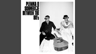 Video thumbnail of "Plewka & Schmedtje - The Wild Boys"