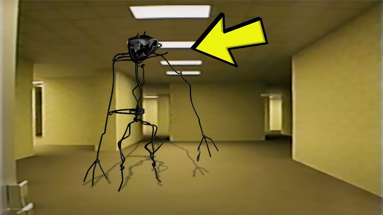 24 24