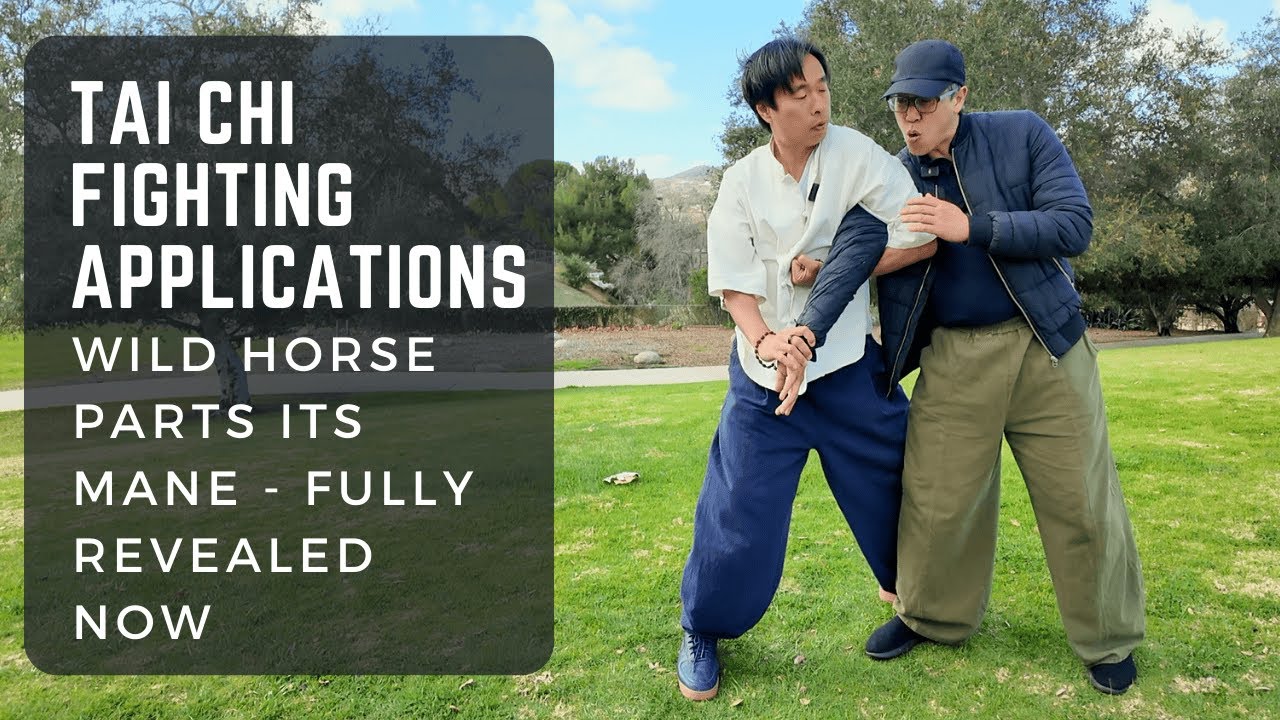 Применение тайцзи в бою: дикая лошадь расправляет гриву, решающий захват суставов