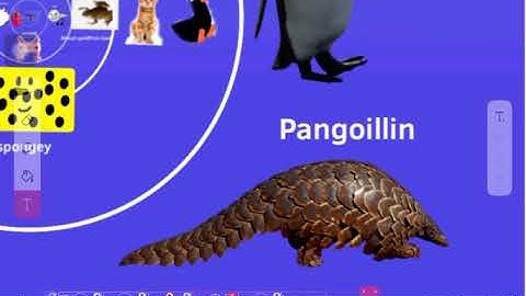 Size comparison universe part 7