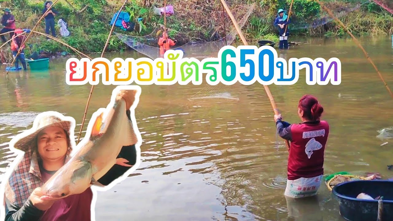 ยกยอเวียงป่าเป้าบัตรหนองลงปลา650บาท