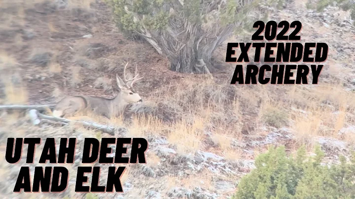 Hunting the extended archery in Utah 2022