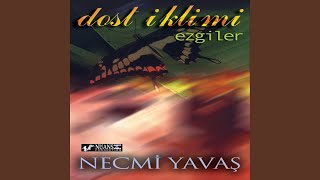 Kan Ağlıyor Bosna Hersek — Necmi Yavaş kapak görseli