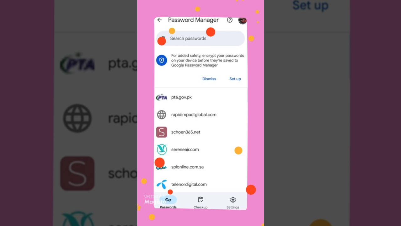 google password manager 