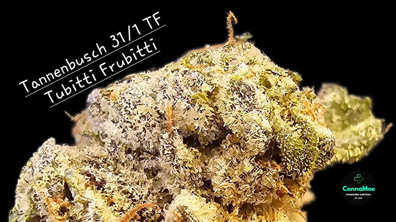 REVIEW🍒💣 Tannenbusch 31/1 TF - Tubitti Frubitti 28,3%THC 