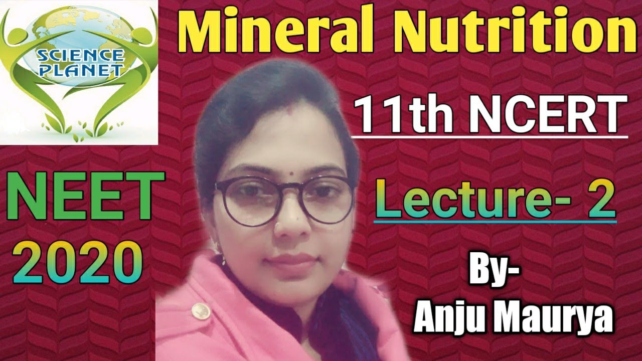 Quick NCERT Revision(NEET 2020)  Mineral Nutrition Lecture- 2 By-Anju Maurya