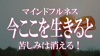 今ここを生きると人生はスムーズに流れ、あなたの世界は輝きだす。マインドフルネスで生きる方法